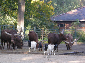 Смотреть фото Осенняя диета Фото Осенняя диета