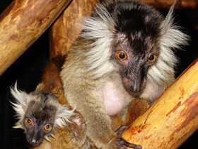 Фото «Мама, возьми меня на ручки!»