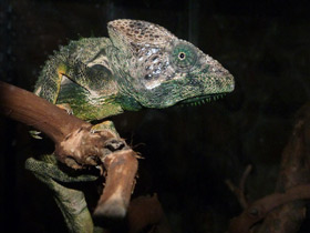 Смотреть фото Cамый большой угол зрения Фото Cамый большой угол зрения